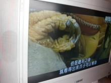 [9成新] 黃阿成~禾聯32型液晶電視電視無破損有使用痕跡