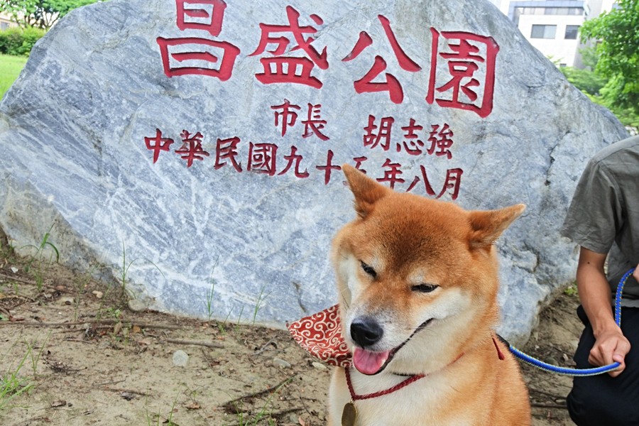 嘟嘟NG照片