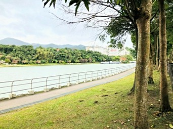 台北市內湖區買房子 中古屋買賣 591售屋網